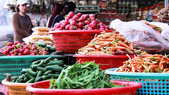 Mặt hàng rau - củ - quả trở thành điểm sáng xuất khẩu của tỉnh Lâm Đồng trong mùa Covid-19 (Ảnh minh hoạ)