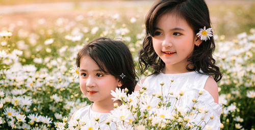 Hai "thiên thần nhí" khoe sắc bên cúc họa mi khiến cộng đồng mạng "tan chảy"