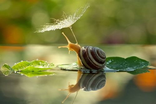 Gửi những người đang ở ngưỡng cửa tuổi 40: Đã tới lúc thấm thía nhiều điều trong cuộc sống