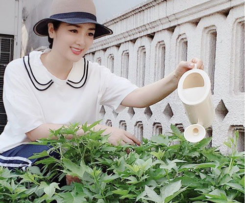 Hoa hậu Giáng My trồng rau và hoa quanh biệt thự trong lúc ở nhà trốn Covid-19