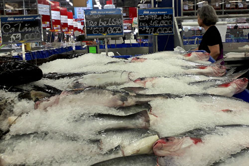 Lo ngành thủy sản phải chịu nhiều chi phí