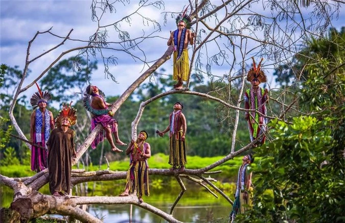 ảnh ấn tượng về các bộ lạc bí ẩn ở brazil sống tách biệt với thế giới hình 9 anh an tuong ve cac bo lac bi an o brazil song tach biet voi the gioi hinh 9