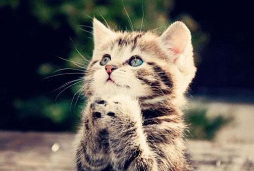 Sang tháng 3 âm lịch, 3 con giáp có khả năng giàu có bất ngờ, vận may 'ngút ngàn', chuyện vui liên tiếp kéo đến