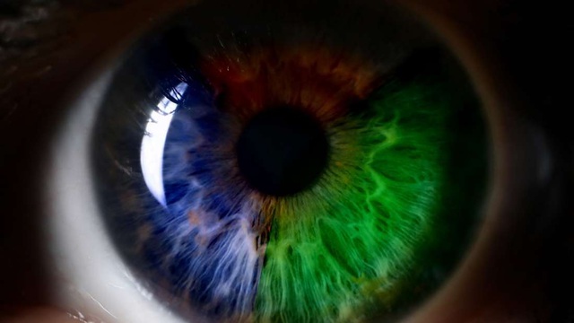 Israel phát triển thành công kính áp tròng chữa bệnh mù màu