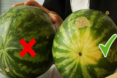 "Làm thế nào để chia đều 4 quả dưa hấu cho 5 người?": Câu trả lời chứng tỏ nhân tài sở hữu EQ cao, là người mà mọi công ty cần có