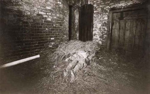 Thủ đoạn tinh vi của ông lão khiến cảnh sát bó tay suốt 2 năm