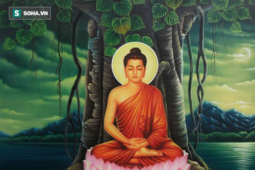 ‘Đức Phật, tại sao Ngài không giúp con?’ và câu trả lời khiến ai cũng phải suy ngẫm