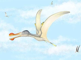 Phát hiện hóa thạch của loài thằn lằn bay khổng lồ, sống cách đây khoảng 100 triệu năm
