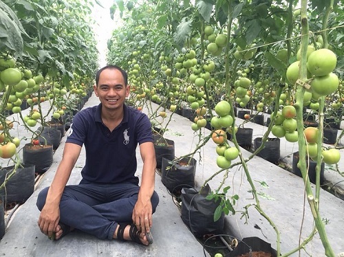 CEO Vietponics Nguyễn Đức Huy: Hộp rau gia đình, giao hàng tận nơi đủ gồng gánh qua đại dịch Covid-19