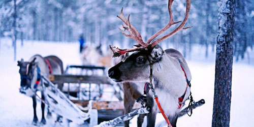 Vì sao Phần Lan vẫn là quốc gia hạnh phúc nhất thế giới?