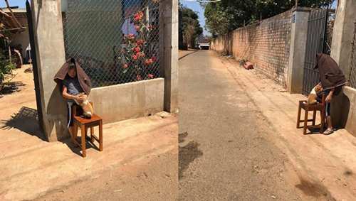 Bé trai đứng ôm chú chó giữa trời nắng "chang chang" và lý do bất ngờ phía sau