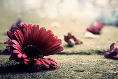 2 việc mà người có trí tuệ nên tránh tuyệt đối, không bao giờ phạm phải