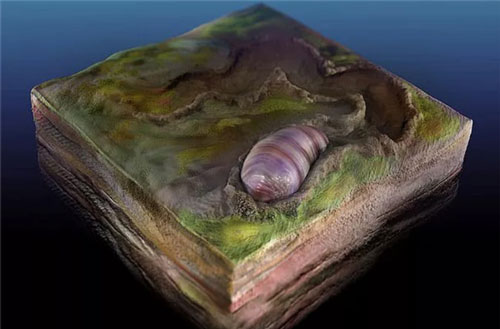 Sốc với tổ tiên của loài người bị "niêm phong" trong đá