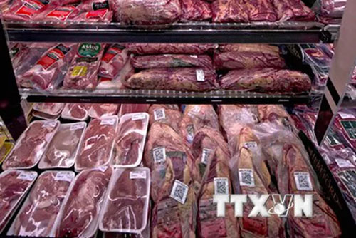 Giá lợn hơi trên thị trường vẫn ở mức cao