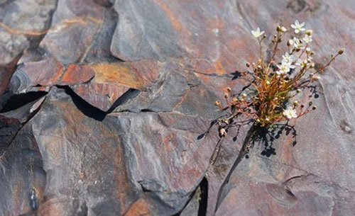 Trái đất có thể từng bị mất ôxy một cách bí ẩn 2 tỷ năm trước 