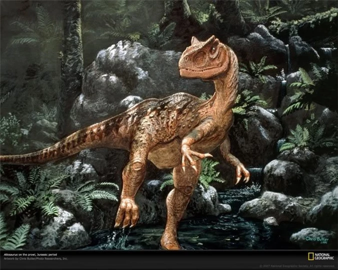 Top 10 loài khủng long ăn thịt nguy hiểm nhất thời tiền sử - Ảnh 5.
