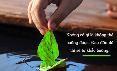 Lời Phật dạy về những bài học sâu sắc trong cuộc sống: Biết buông bỏ đúng lúc sẽ không bị tổn thương