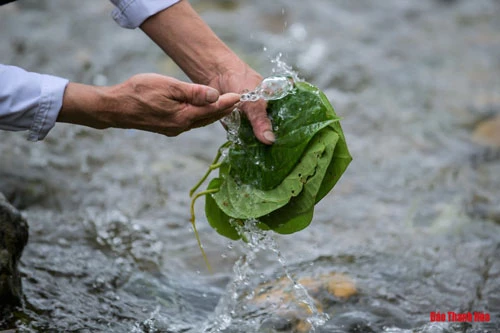 “Để tạo ra được men rượu cần thơm ngon phải thật sự nhập tâm vào nó, trông đơn giản nhưng không dễ để có được men rượu ngon. Men rượu cần được làm từ lá cuống, lá nhân trần, ớt cay, gừng tươi, him ho, đập khau, gạo, trầu không sắn và trấu”. Bà Sinh chia sẻ.