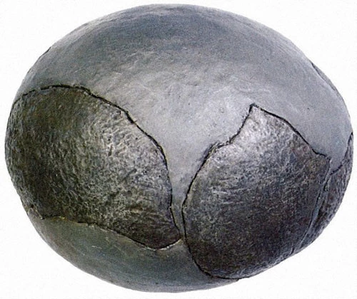 Mô hình dựng lại hóa thạch trứng khủng long dựa trên những mảnh vỡ được tìm thấy năm 1965. Ảnh: Mainichi.
