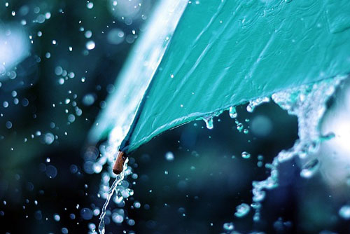 Tình cảm không phải cứ muốn là có thể buông được