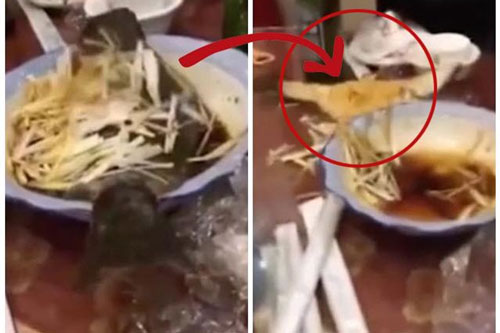 Đang ăn bỗng nhiên cá cứ tưởng đã chín nhảy ra khỏi đĩa khiến thực khách choáng váng, hết hồn