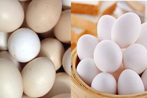 Người bán trứng lâu năm tiết lộ 5 mẹo giúp bà nội trợ Việt chọn chuẩn trứng gà ta, không bao giờ nhầm lẫn với trứng gà công nghiệp