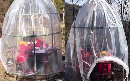 Bà mẹ "gây sốt" vì sáng tạo ra "lều chống virus" giúp con yên tâm học bài online ngoài trời