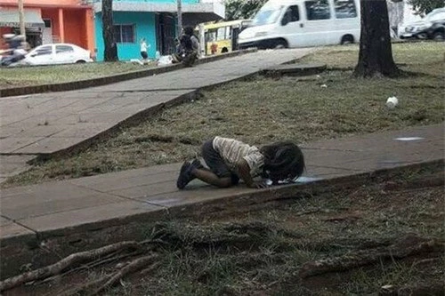 Rớt nước mắt trước bức ảnh cô bé nghèo quỳ xuống uống vũng nước bẩn trên đường vì khát