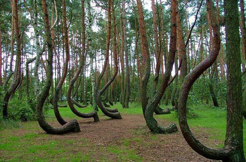 7 địa điểm trên Trái đất còn bí ẩn hơn Tam giác Bermuda