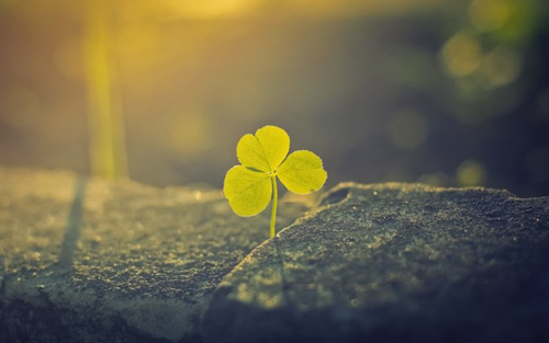 Đừng sợ mất lòng, có 5 việc bạn không cần giải thích với ai trong cuộc sống này