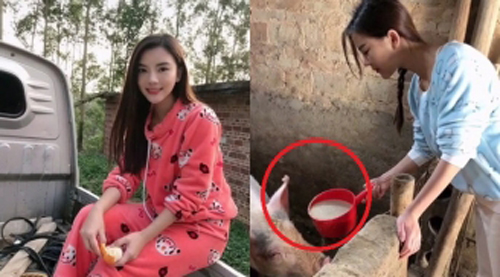 Đăng hình ảnh gái đảm xinh đẹp, cô nàng bất ngờ bị dân mạng "ném đá tơi tả" vì điều này