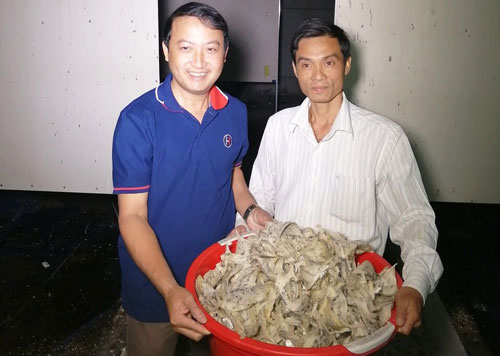 Hai “gã khùng” và khát vọng mang tên “Yến sào Kon Tum”