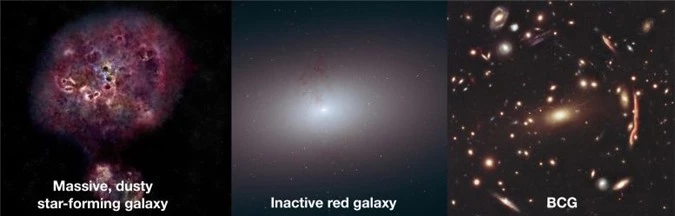 Phát hiện thiên hà xuất hiện từ thuở vũ trụ mới hình thành - 2