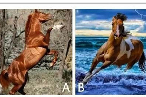 Trắc nghiệm: Bạn có thể 'chế ngự' loại đàn ông nào?