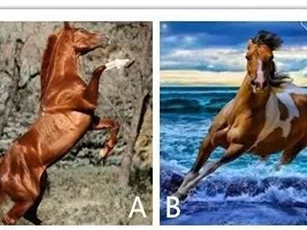 Trắc nghiệm: Bạn có thể 'chế ngự' loại đàn ông nào?