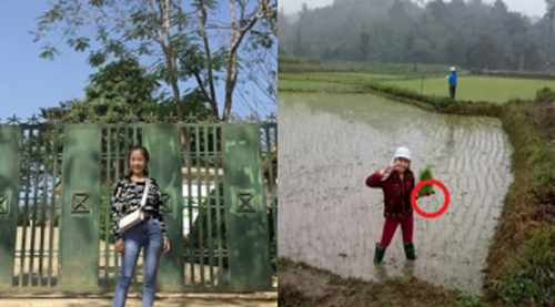 Khoe ảnh đi cấy giúp mẹ, cô gái xinh đẹp bất ngờ gặp rắc rối lớn chỉ vì chi tiết này