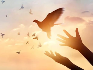 Ai thấu hiểu được 2 điều này phúc báo dễ tìm đến, tiền tài danh vọng chẳng lo thiếu