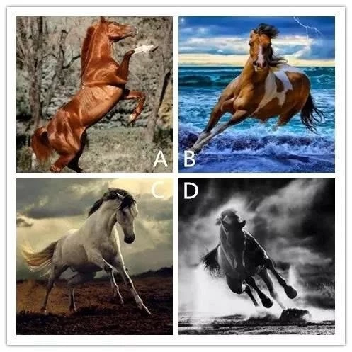 Bạn chọn con ngựa nào?