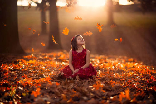 Trọn kiếp nhân sinh, đến khi nào ta mới được nghỉ ngơi?