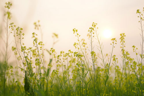 Kiếp người có 2 điều không nên nhìn, 3 điều không nên quản, 4 điều không nên cho, 5 điều không nên đợi