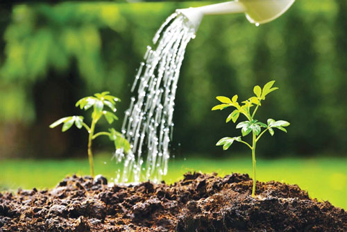 Hạnh phúc là cưu mang sự sống