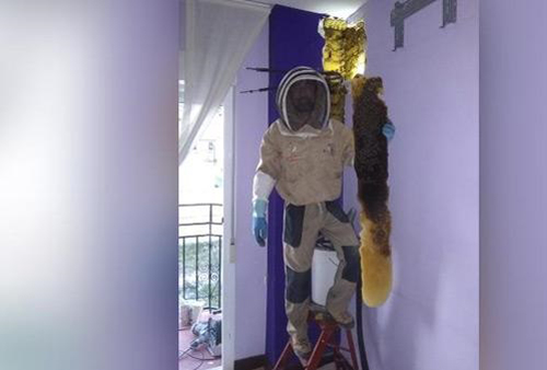 Nghe âm thanh lạ phát ra từ bức tường trong phòng ngủ, cặp đôi tìm hiểu thì phát hiện điều đáng sợ