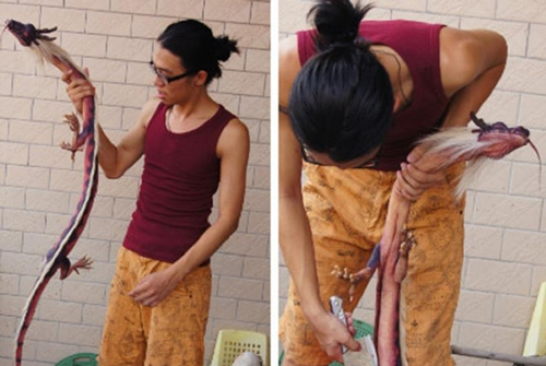 Chuyện người đàn ông giết rồng xôn xao cộng đồng mạng