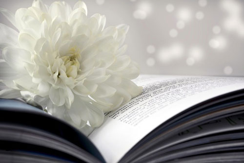 'Ngọc lành có vết, việc đời đa đoan', hỏi sao con người cứ mãi 'chấp mê bất ngộ'?