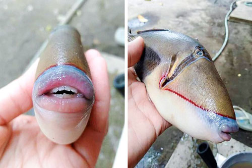 15 khám phá khiến bạn mở rộng tầm mắt về thế giới