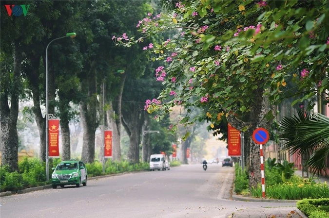 ngam sac hoa ban tay bac tinh khoi, dep nao long o ha noi hinh 13