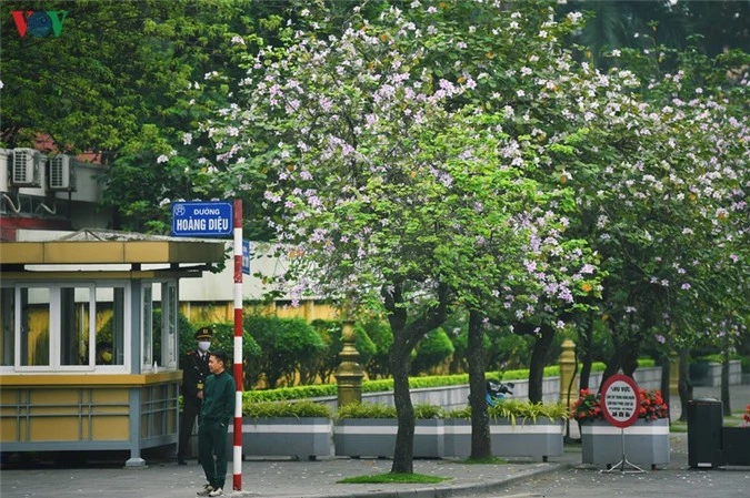 ngam sac hoa ban tay bac tinh khoi, dep nao long o ha noi hinh 3