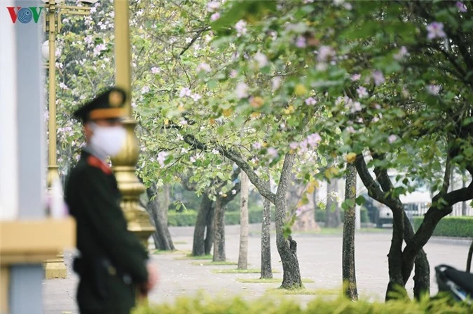 ngam sac hoa ban tay bac tinh khoi, dep nao long o ha noi hinh 5