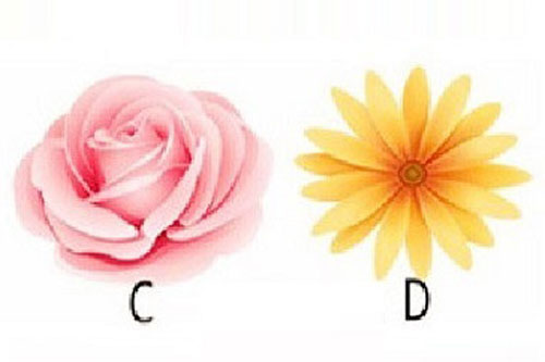 Trắc nghiệm: Trong mắt mọi người, bạn dễ thương đến mức nào?