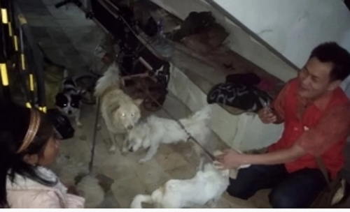 Bất ngờ phát hiện chồng mới cưới thích ăn thịt chó, cô gái lập tức bỏ nhà đi rồi làm điều đặc biệt